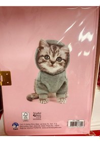 Resim Dolphin Cem Studio Pets Kilitli Hatıra Defteri Sert Kapak Kedi Resimli Pembe Kapak Pt-7789 