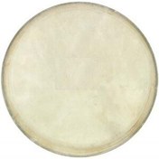 Resim Cox Bongo Derisi (7.5") DER-B-75 