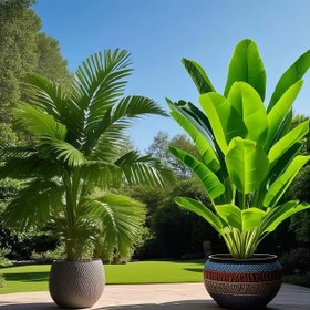 Resim 2 Premium Dev Yapay Palmiye Ağacı, 36 Büyük Yaprak Yeşillik Dekorasyon - Ev, Otel, Ofis, Düğün, Parti, Patio Dekoru için Uygun | Zarif Yaprak Tasarımı, Şükran Günü ve Mezuniyet Sezonu Seçimi | Saksı Dahil Değil 