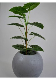 Resim Fiberglas 70 Çap Küre Fiber Beton Görünümlü Saksı 