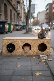 Resim Reyo Kedi Evi Dış Ortam Uygun 3'lü Ahşap Kedi Evi OSB 93x41x39 cm MLD0CAT11 