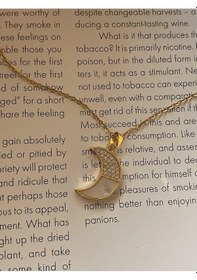 Resim Zirkon Taşlı Sedefli Yarım Ay Çelik Kararmaz Gold Kolye Altın 