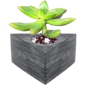 Resim Beton Saksı Silikon Kalıp - 142 