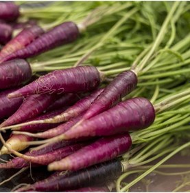 Resim Mor Havuç Fidesi (5 adet) 