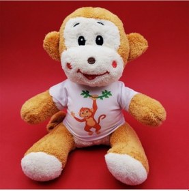 Resim Tasarım Tişörtlü Oyuncak Maymun Tdrtr Çok Renkli 