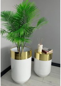 Resim Dekoratif Gold Darbuka Parlak Beyaz Saksı 70cm + Sehpa 60cm İkili Set 