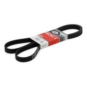Resim Ford Connect 2003-2008 Klimalı V Kayısı Gates 6Pk1715 