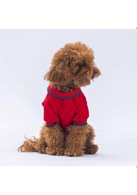 Resim Pawstar Kırmızı Marine Polo Yaka Kedi Köpek Tişörtü 