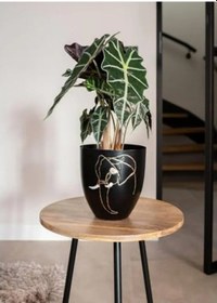 Resim 16 Cm Çapında Fil Desenli Siyah Metal Saksı - 