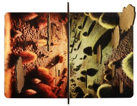 Resim Bitkinin Serüveni Eğitici Ahşap Oyun Seti Moon Beavers™ 