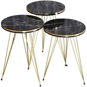 Resim Zigon Sehpa Çift Gold Bendir Tel 