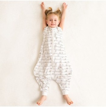 Kundakçıların Şehri - Hala Alyan - Perseus Yayınevi