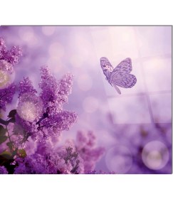 Resim Olinpa Cam Ocak Arkası Koruyucu | Kelebek 