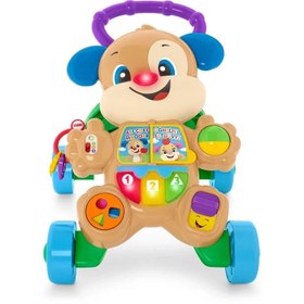 Resim Fisher-Price Eğitici Köpekçik Yürüteç (Türkçe) FTG10 