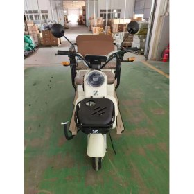 Resim Zlin Motors Troya Eco Beyaz Üç Tekerlekli Elektrikli Motosiklet 300 kg Taşıma Kapasitesi ile 