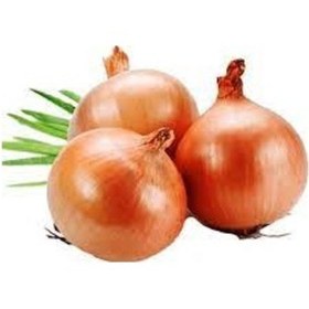 Resim 20 Adet Tohum Organik Hobi Bahçe Kışlık Kuru Soğan Tohumu Acısız 