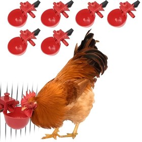 Resim 6/10 adet Otomatik Su Dağıtıcılıklı Tavuklar İçin Plastik İçme Bardakları, Elektrik veya Pil Gerektirmez, Tavuklar, Tavuklar, Kazlar, Geyikler ve Tavuklar İçin Kullanılır 