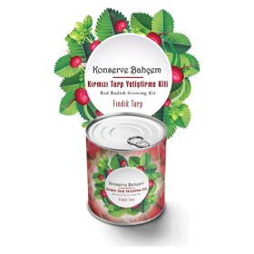 Resim Toyigoo Buffer® Konserve Bahçem Evde Konservede Fındık Turp Yetiştirme Kiti TYGRSYT9573 