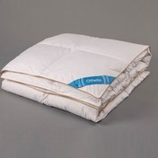 Resim Othello Downa 90 195x215 Yorgan 