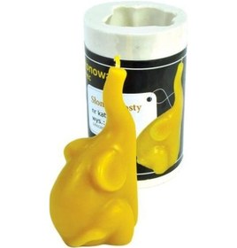 Resim Lyson Mum Kalıbı, Fil 