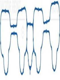 Resim VICTOR REINZ 71-12420-00 Emme Manifold Contasi Astra K B14xe (WM664563) 