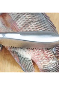 Resim Büro Ev Ofis Mutfağı İçin Kolay Balık Pulu Kazıyıcı Aparat Diğer 