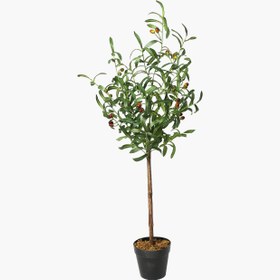 Resim Saksılı Zeytin Ağacı 44X40X108cm 