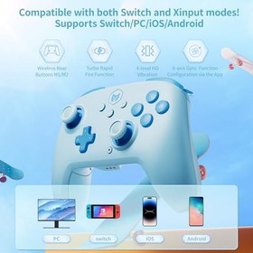 Resim Black Shark Bigbig Won PC için kablosuz kumanda, 6 eksenli jiroskop, çift şok, 128 kademeli makro programlama, NFC, Turbo, Bluetooth oyun denetleyicisi, Windows 10/Android/iOS/PC için 