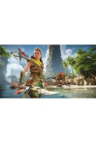 Resim Bandai Namco Horizon Zero Dawn Ps4 Oyun 