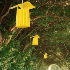 Resim Sarı Ahşap Fener, Doğal ve Şık Dekoratif Aydınlatma 