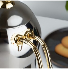 Resim Lines Şahmeran No 3 Paslanmaz Çelik İndüksiyon Tabanlı Çaydanlık 1.75 L Gold 