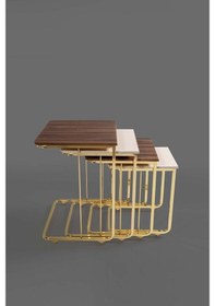 Resim Tekerlekli Veys Sehpa Gold 4 Lü Zigon Sehpa - Orta Sehpa - Yan Se (550705367) 