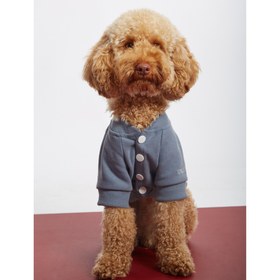 Resim Gri Köpek Kolej Ceketi - "Cool" Sloganlı - 6 / Mavi/Gri 