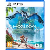 Resim Horizon Forbidden West PS5 Oyun Şeffaf 