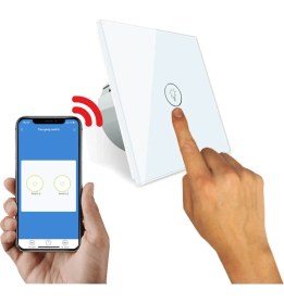 Resim Alpsmart AS871 EU WiFi Dokunmatik Akıllı Tekli Duvar Lamba Açma Anahtarı Tuya Destekli 