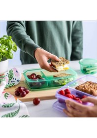 Resim Pruta Plastik Saklama Kabı Seti, Lila-yeşil, 22x14x5 Cm, 2 Parça Yesil 