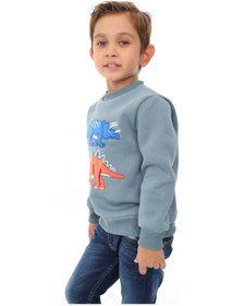 Resim Toontoy Kids Toontoy Erkek Çocuk Nakışlı Sweatshirt Açık Mavi 