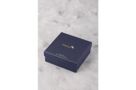 Resim Polo Air Erkek Kol Saati ve 55 ml Parfüm Seti Şık Hediyelik Kutusunda Kombin Siyah Renk PL-0959E1 