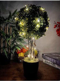 Resim Led Işıklı Şimşir Top Yılbaşı Ağacı Tek Toplu 23Cmx45Cm Siyah Sak 