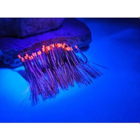 Resim Aldos Çapari Köstek 50'li Istavrit Çapari Kösteği 7 No Brkc05 