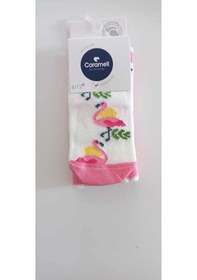 Resim Pembe Desenli Çorap 6-12 Ay Çok Renkli 