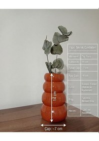 Resim Terracotta Bubble Vazo/ 2 Dal Kuru Okaliptüs 