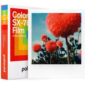 Resim Polaroid Color Sx-70 Film Üretim Tarihi : 9/2022 