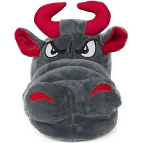 Resim Twigy Yy0251 Z Tw Boga Gri Kadın Panduf Gri 