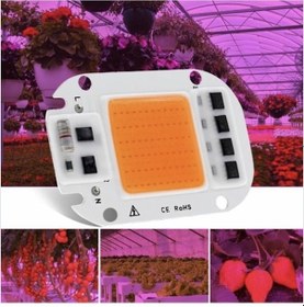 Resim 220V 50W Grow Led Full Spectrum Cob Led (Bitki Yetiştirme Ledi) 