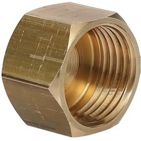 Resim Dişi Kör Tapa ( Pirinç ) 