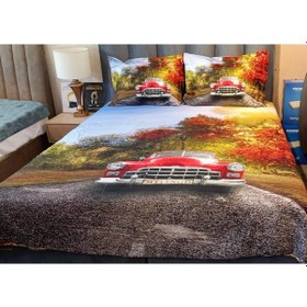 Resim Çift Kişilik Pamuk Saten Nevresim Takımı Cars Diğer 