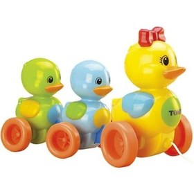 Resim Vakvak Ördekler 