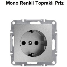 Resim Mono Renkli Topraklı Priz Çerçevesiz 