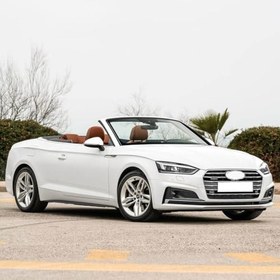 Resim Vass41 Ön Motor Kaput Amortisörü 1 Ad. 8W0823359B Audi A5 Cabrio ile uyumlu 2017-2020 